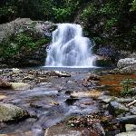 ����ɽ��Ƭһ