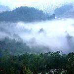 ����ɽ��Ƭһ